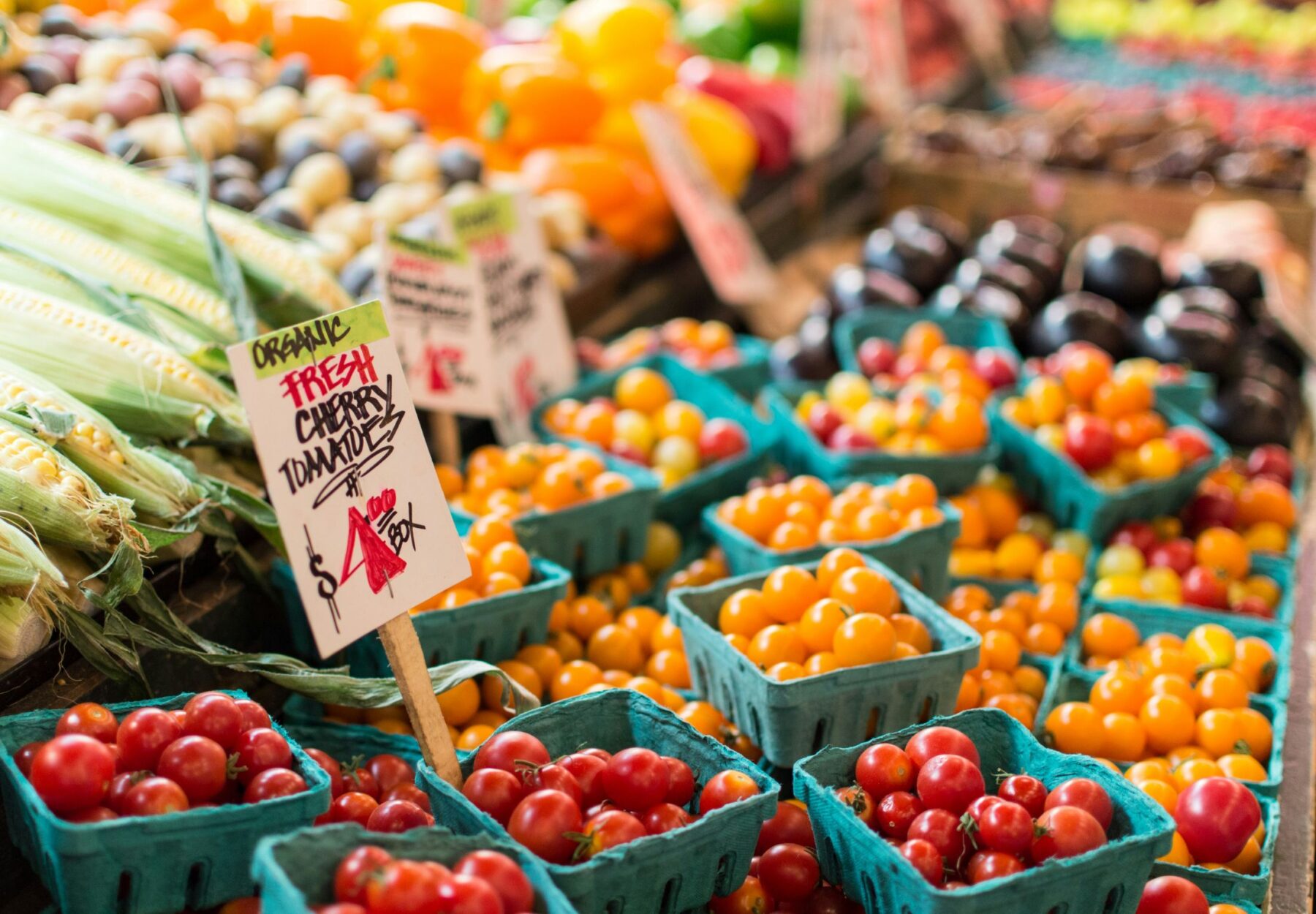 pint-sized containers for colorful red and yellow tomatoes. Fresh corn, bell peppers and eggplants--all on display at a farmers' market.