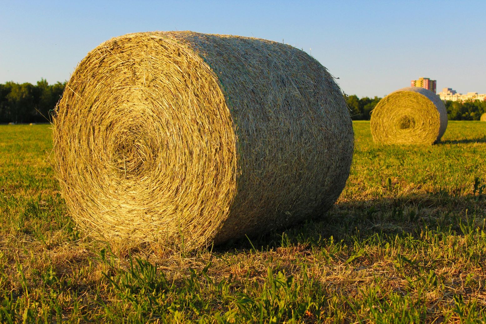 A large rolled hay bale in a field