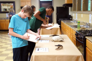 School-aged youth holding clipboards and examining animal skulls