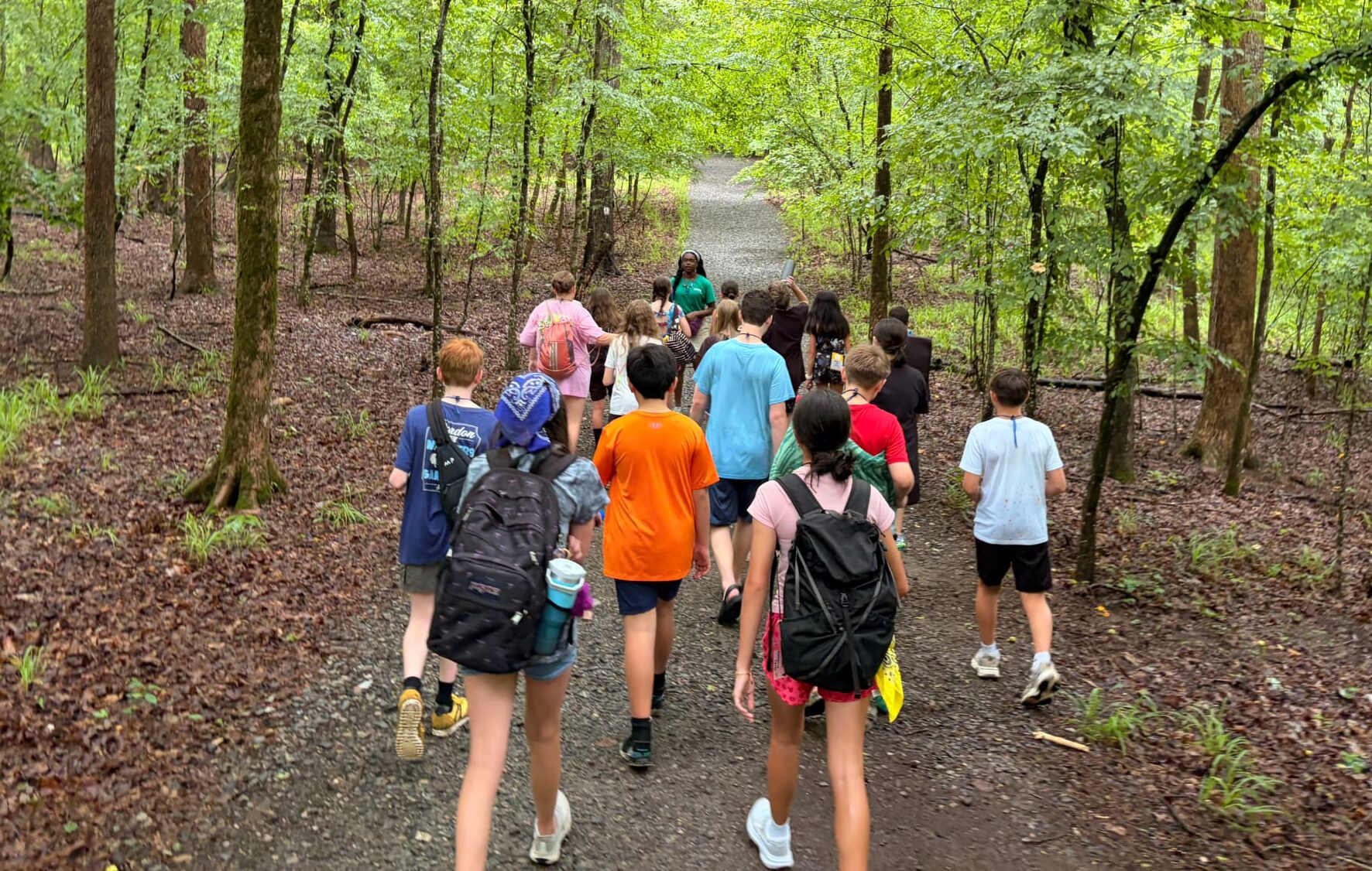 Students on a nature walk, surrounded by trees.