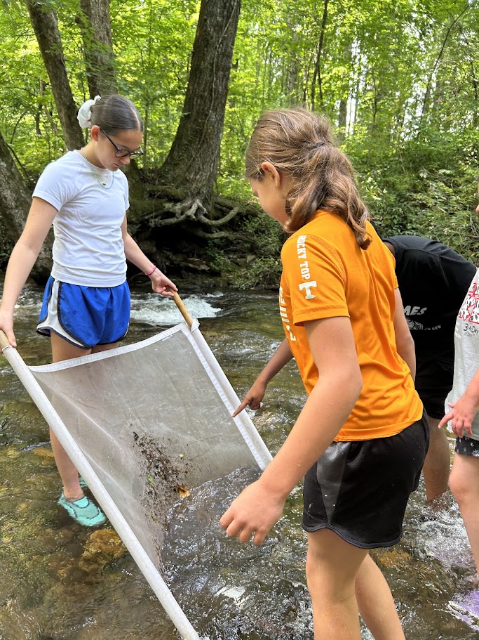 Students in a creek with a mesh net identifying objects found in the water