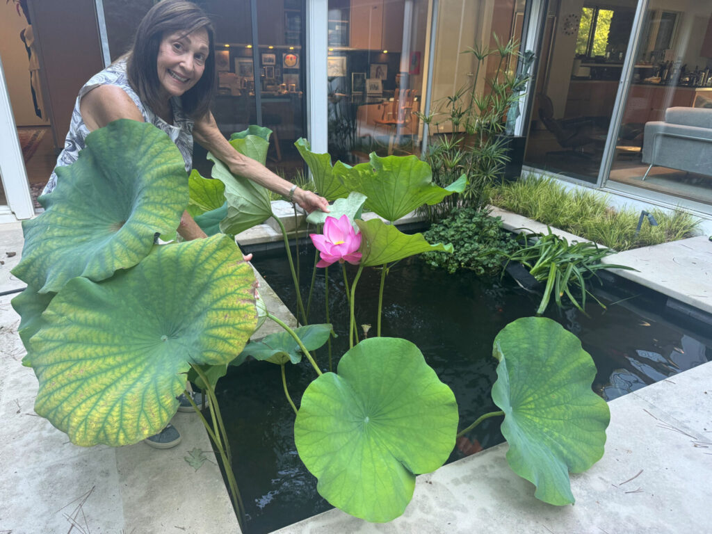 the author next to her water garden, which is a small pond with large, leafy plants and lotus flowers