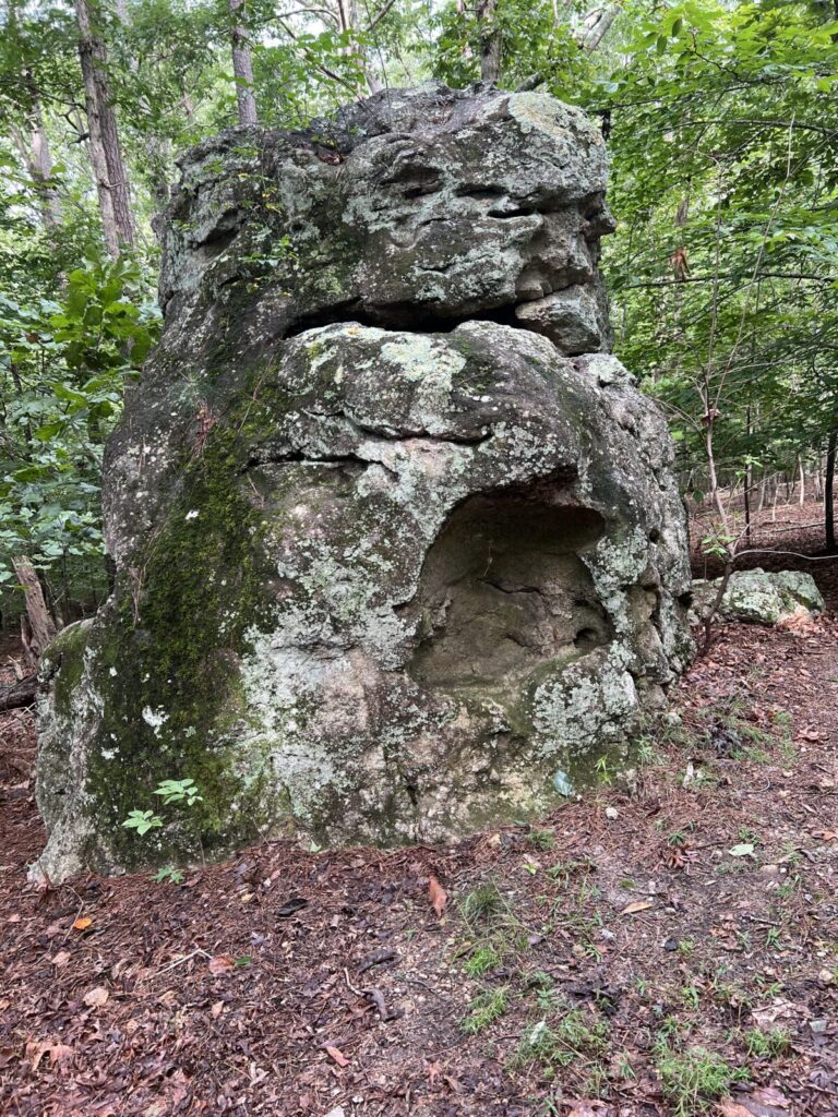 Moss-covered rock formation in forest resembles a face, with foliage surrounding it.