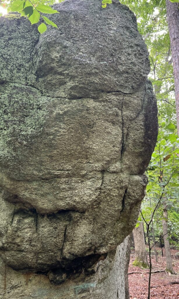 Close-up of a large, rough boulder with patches of green moss in a forest setting.