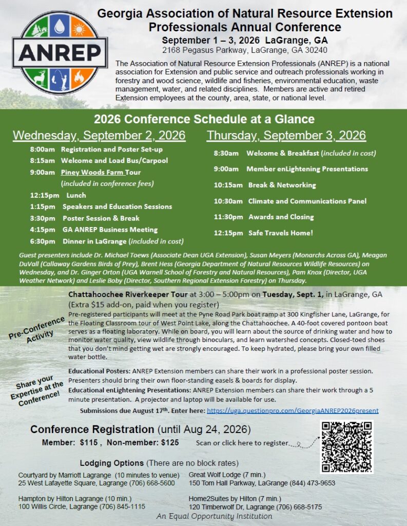 Conference Flyer