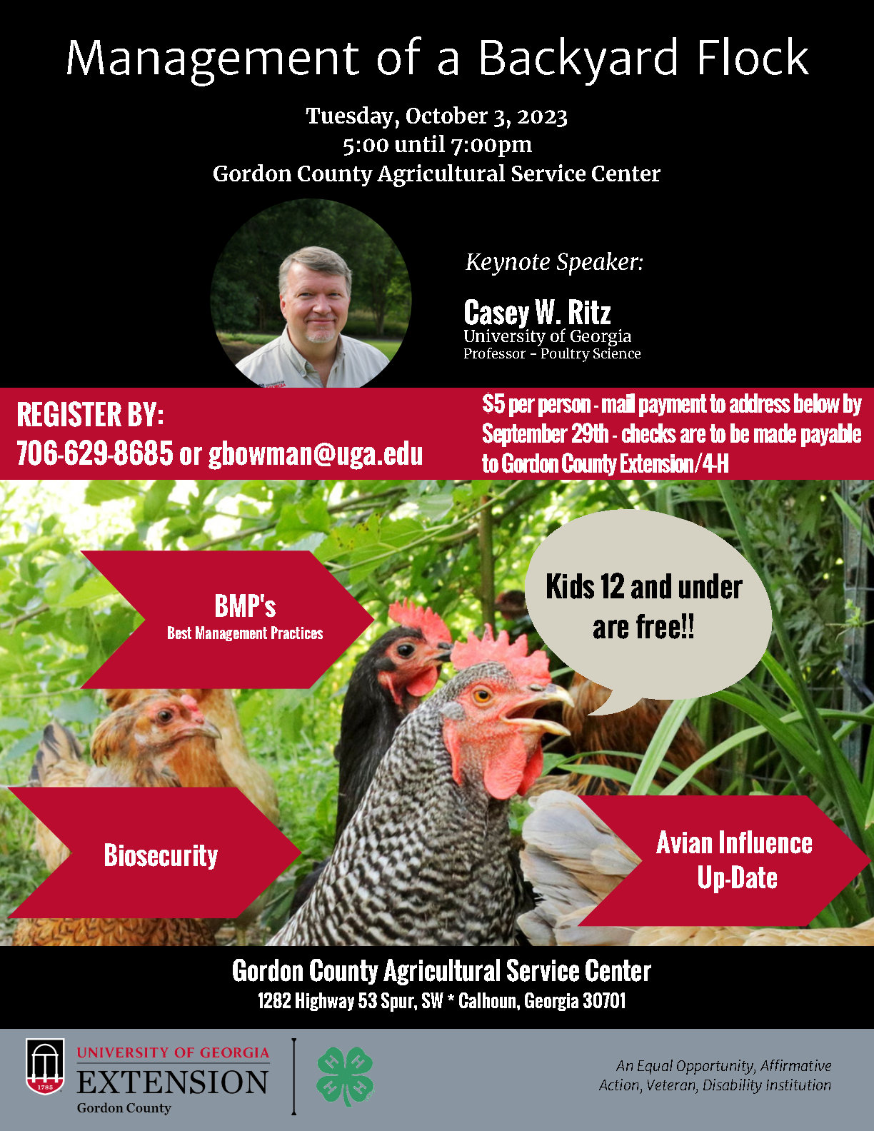 Backyard Flock Gordon Grown