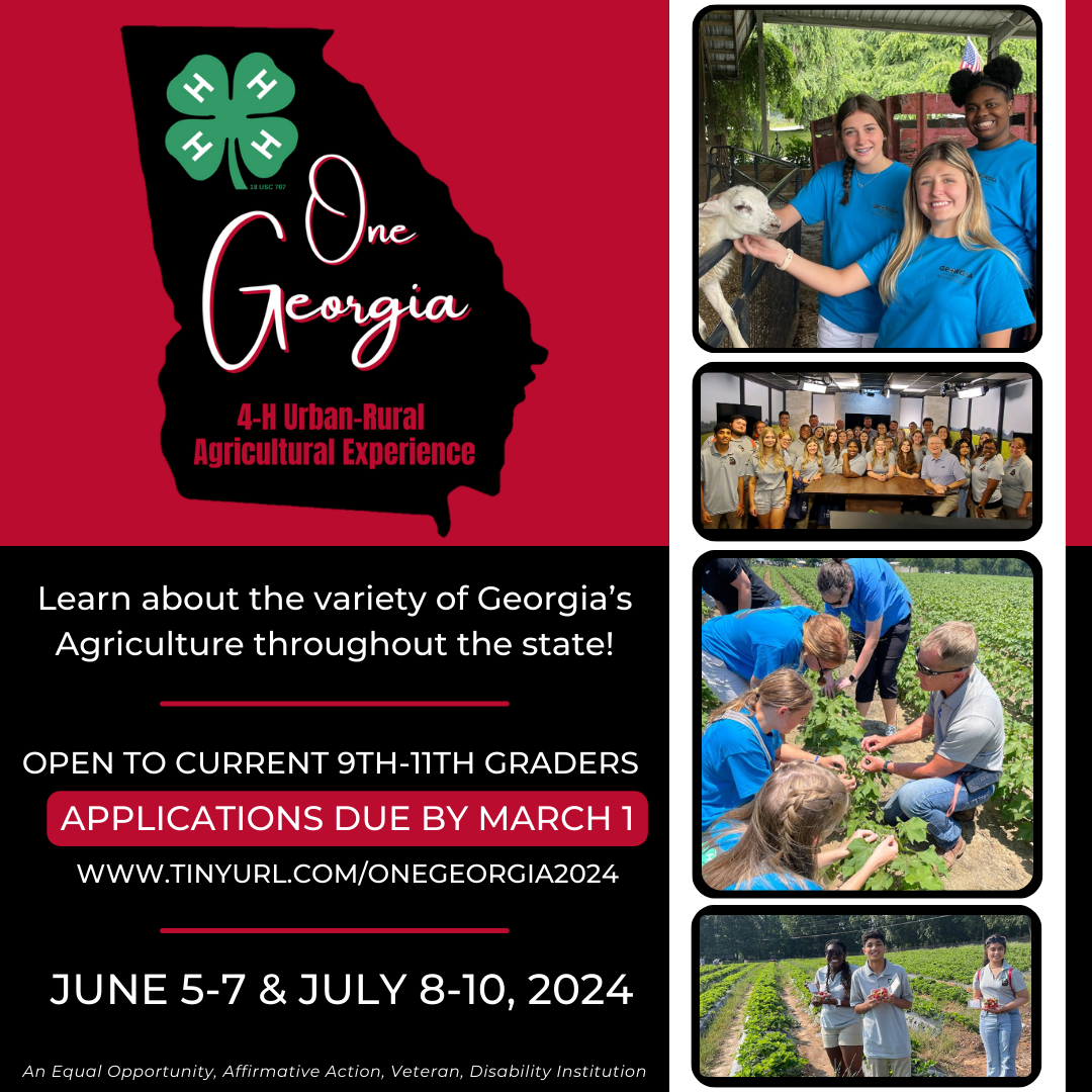 One Urban/ Rural Agricultural Experience 2024 Applications