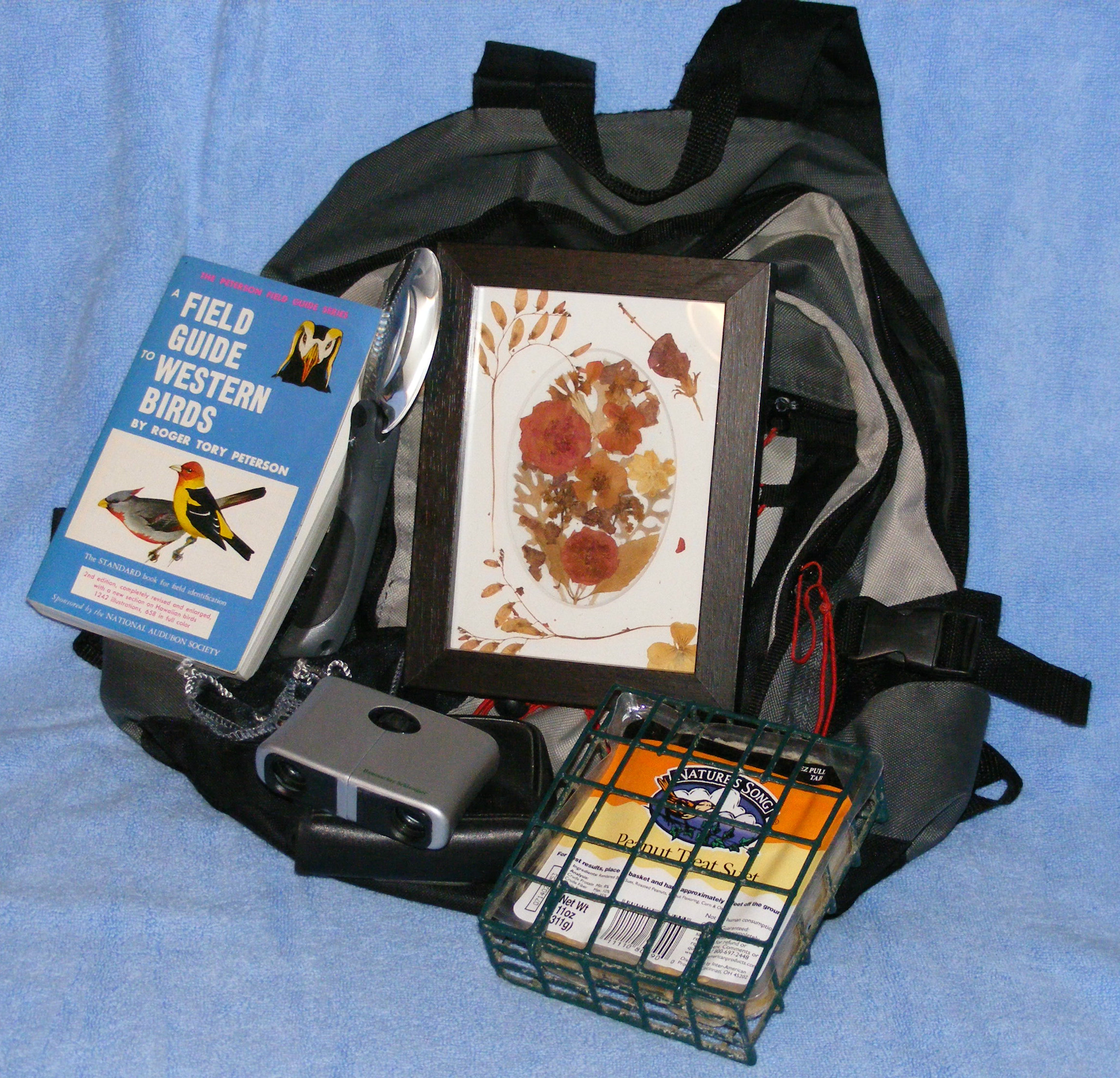 This is for a western friend. It's a backpack filled with my bird id book from a class at the U of Idaho, binoculars, magnifying glass, suet feeder and a picture made out of dried flowers from my garden. 