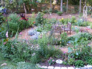 Garden Landscape