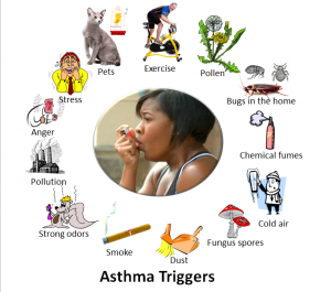 asthma triggers
