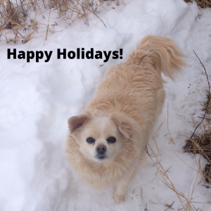 Dog, Happy Holiday