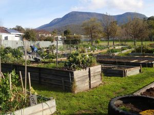 Hobart community garden