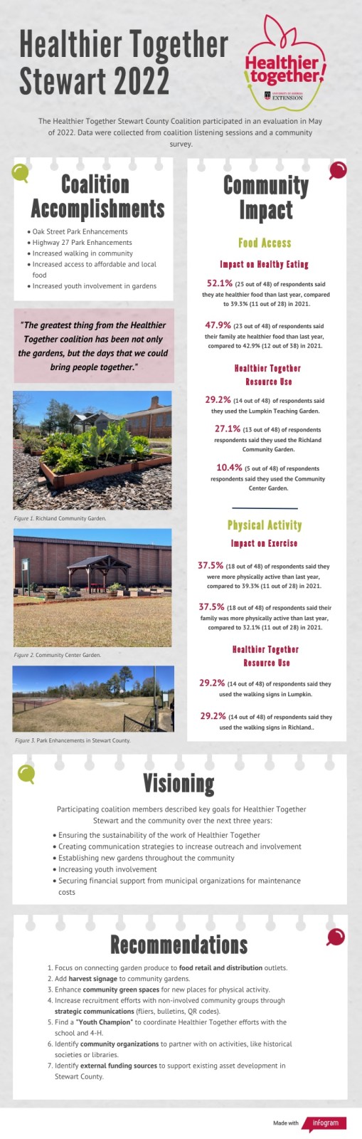 Healthier Together Stewart 2022 infographic detailing impacts and goals of the Healthier Together Stewart Coalition