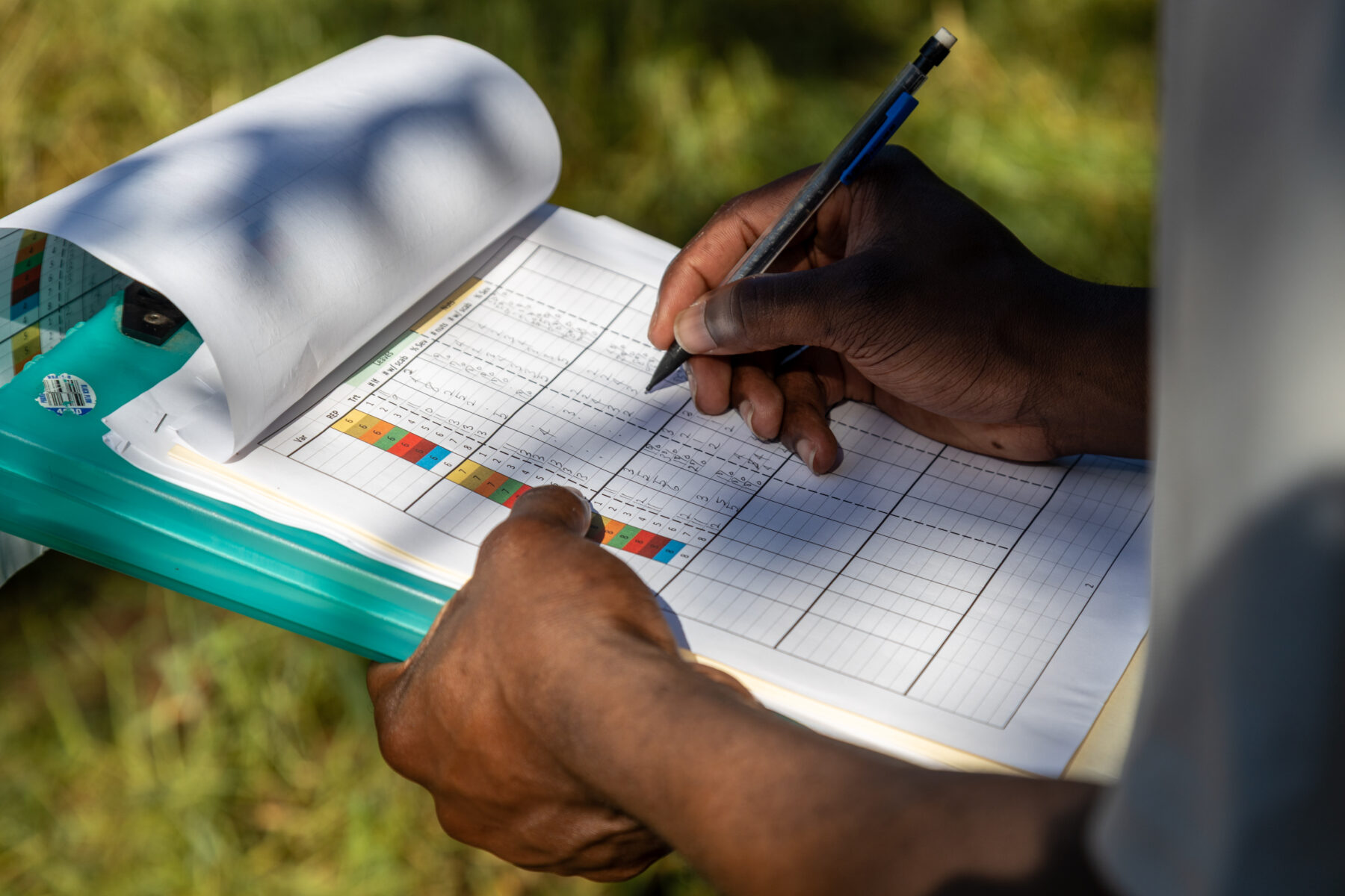 A person writes on a clipboard with a grid and colored sections, outdoors on a grassy area.