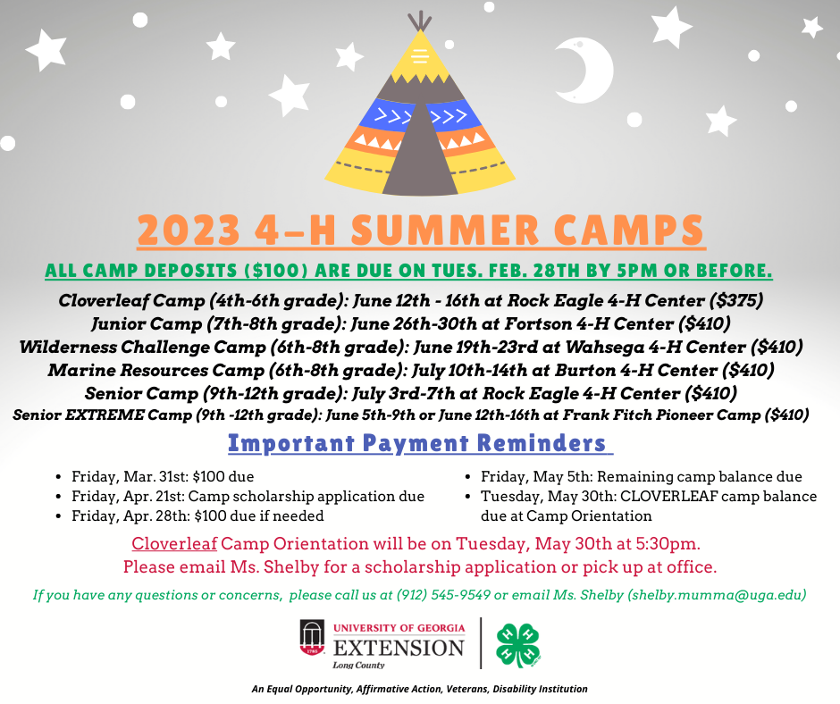 Summer Camps Offered for Grades 4-12 | Long County 4-H