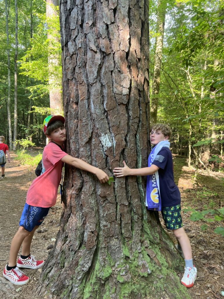 two boys hugging opposite sides of a tree