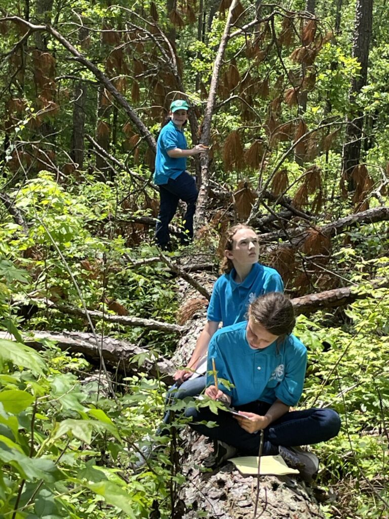 three teenagers wearing teal shirts sitting on a log in the woods