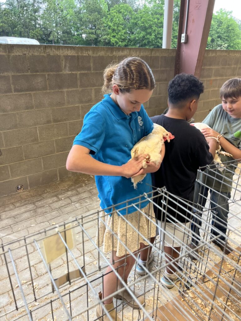 young girl holding a chicken while standing next to two boys