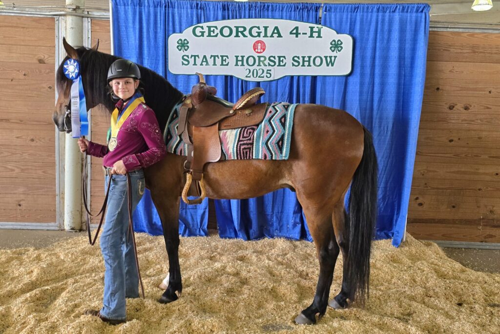 young girl standing next to a horse
