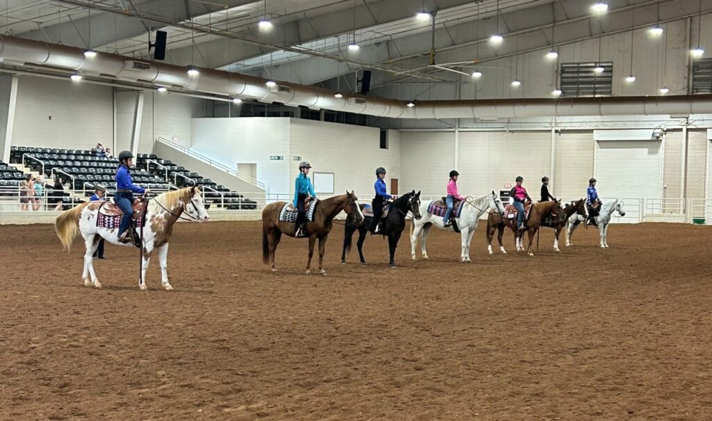 seven horses with their riders