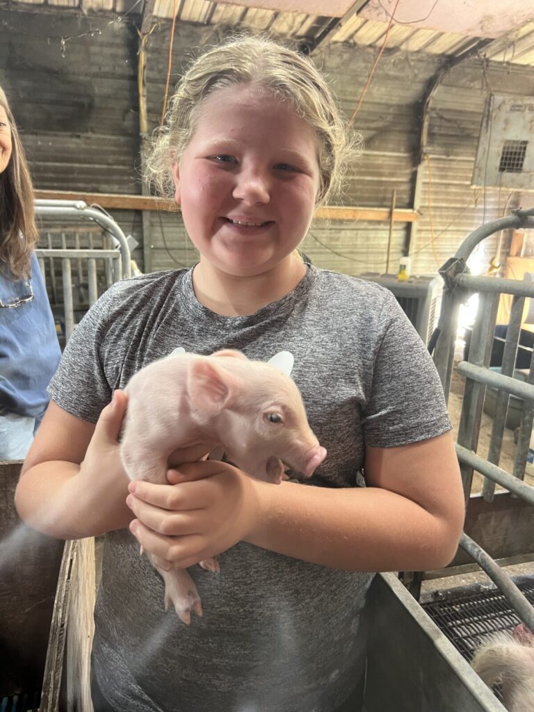 young girl holding a baby pig