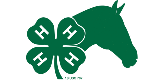 green horse profile with the 4-H clover