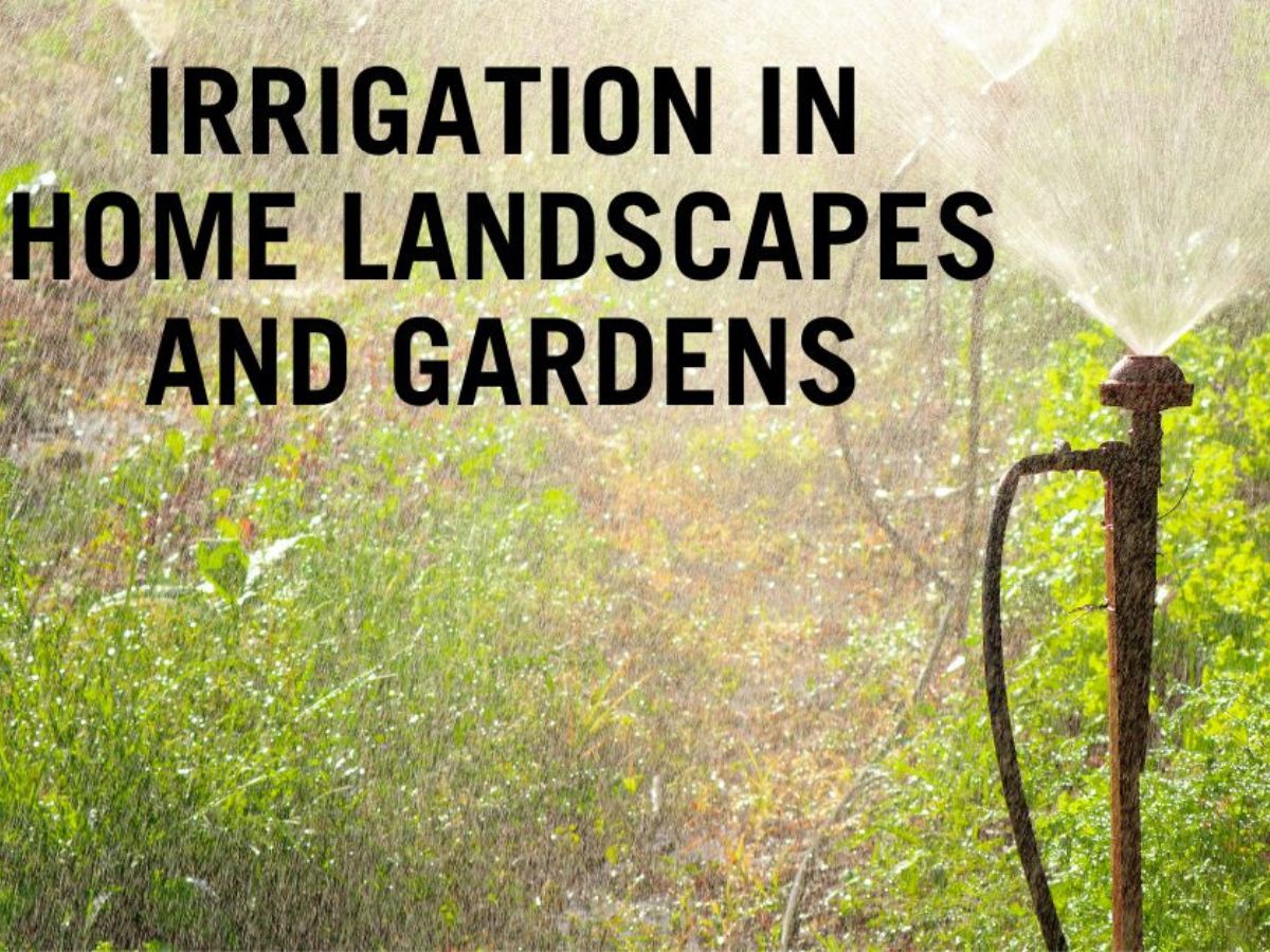 Text reads "Irrigation in Home Landscapes and Gardens" over a background of green foliage and a sprinkler watering the plants.