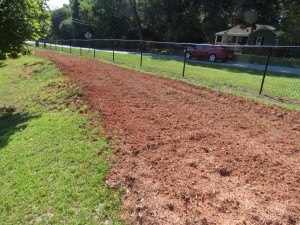 Freshly-tilled plot awaiting cut flowers