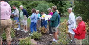 tour of VWCC Arboretum