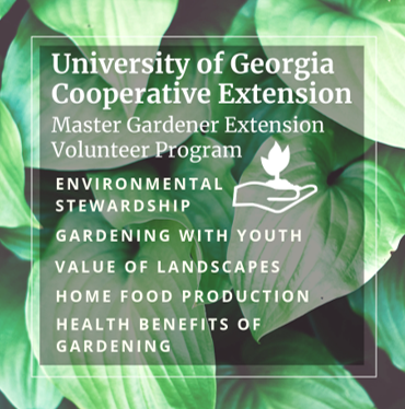 Home Gardening  UGA Cooperative Extension