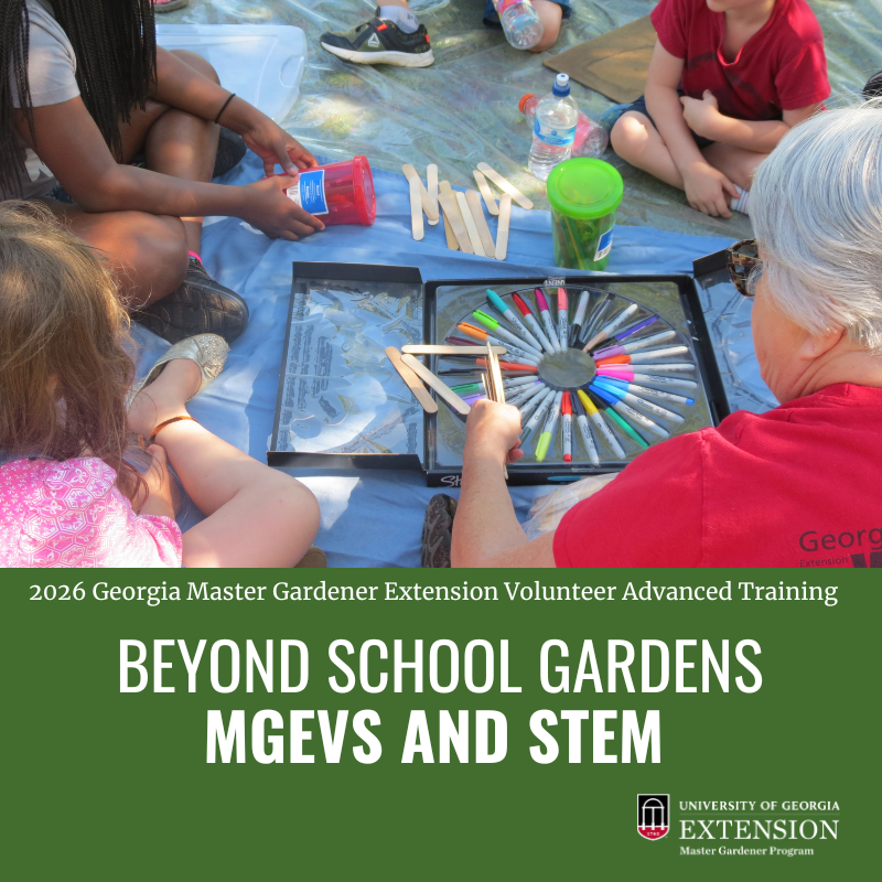 Master Gardener working with youth to create plant tags, image used as promotional image for Beyond School Gardens: MGEVs and STEM advanced training course