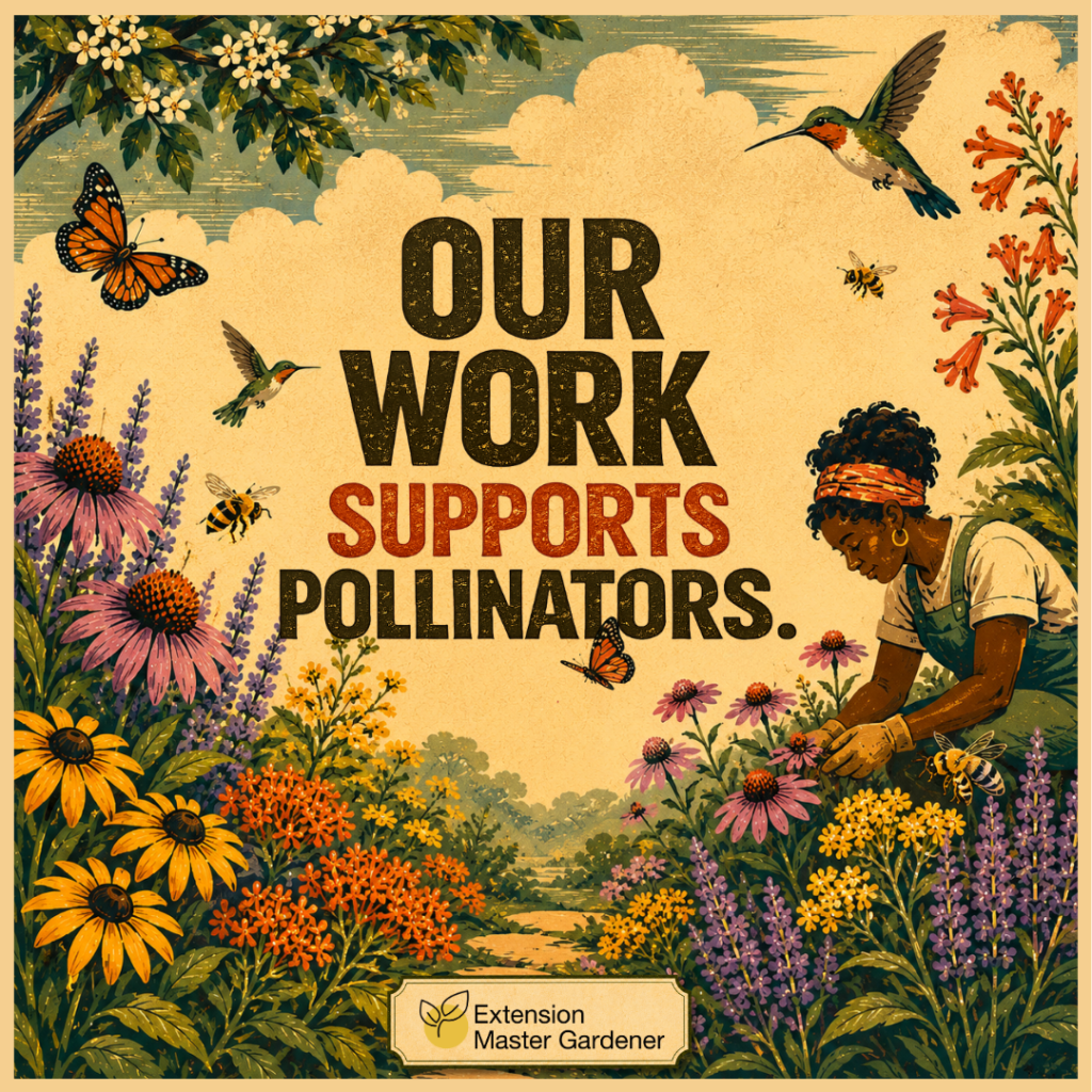 An illustrated poster with text that reads, "OUR WORK SUPPORTS POLLINATORS." At the bottom is a logo for "Extension Master Gardener." The vintage-style illustration shows a woman with a headwrap tending to purple, yellow, and orange wildflowers. Multiple pollinators, including bees, butterflies, and hummingbirds, fly around the garden under a cloudy sky.