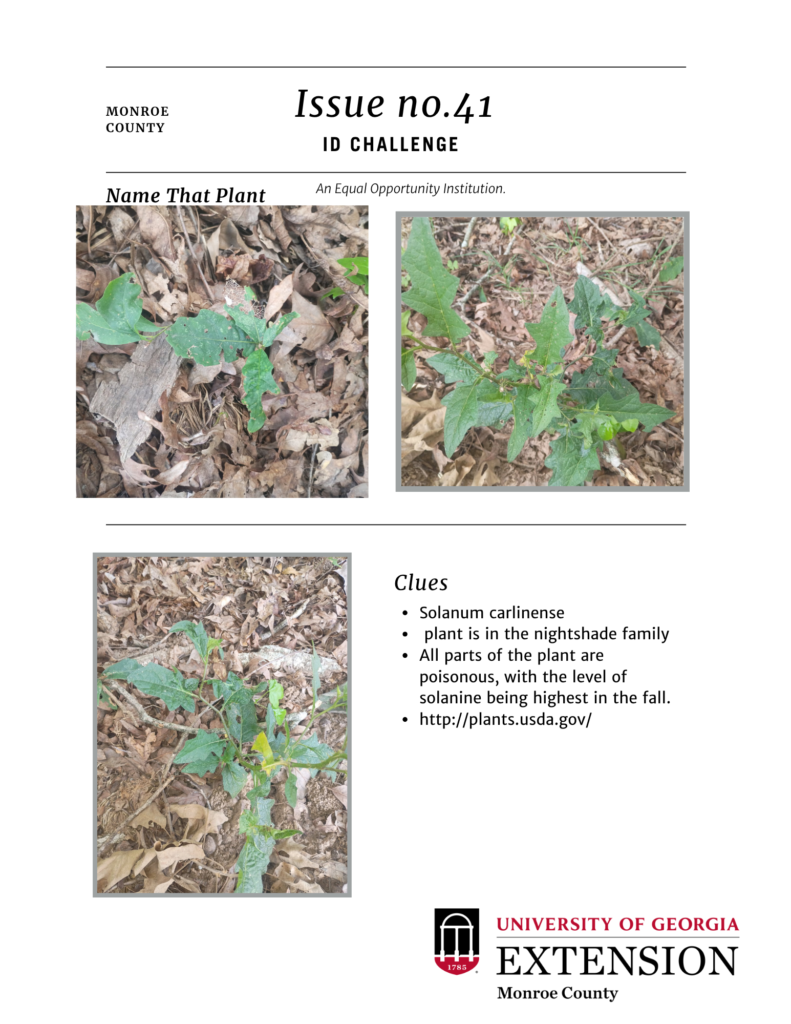 id challenge