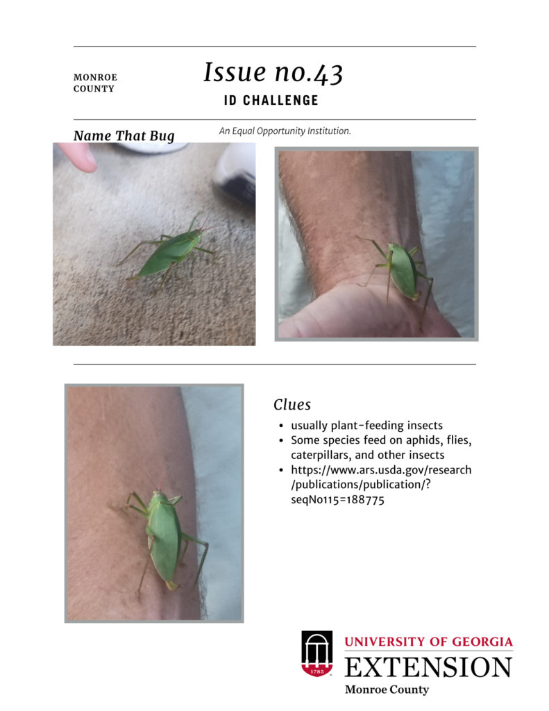 id Challenge