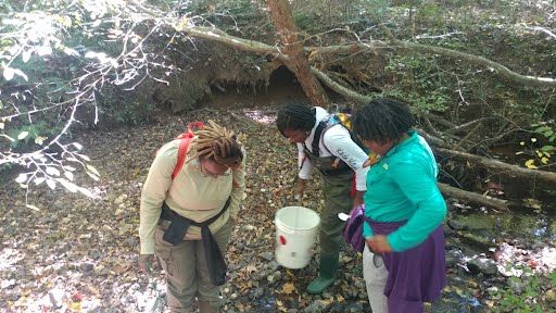 Master Naturalist trainees conducting Adopt a Stream sampling