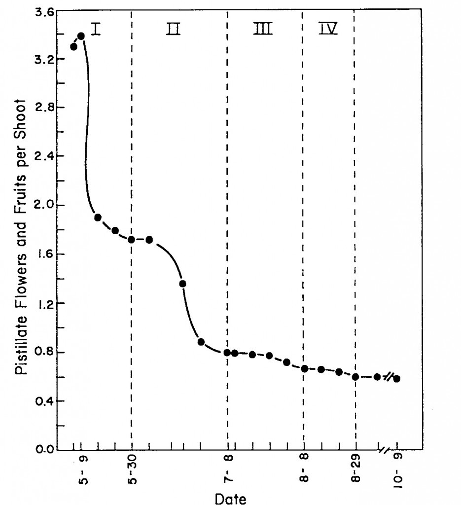 From Sparks, D. 1992. Pecan Cultivars: The Orchard's Foundation
