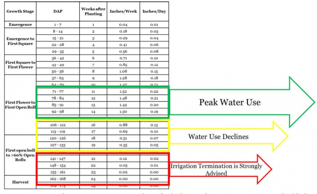 Cotton Irrigation Termination | Plow Points